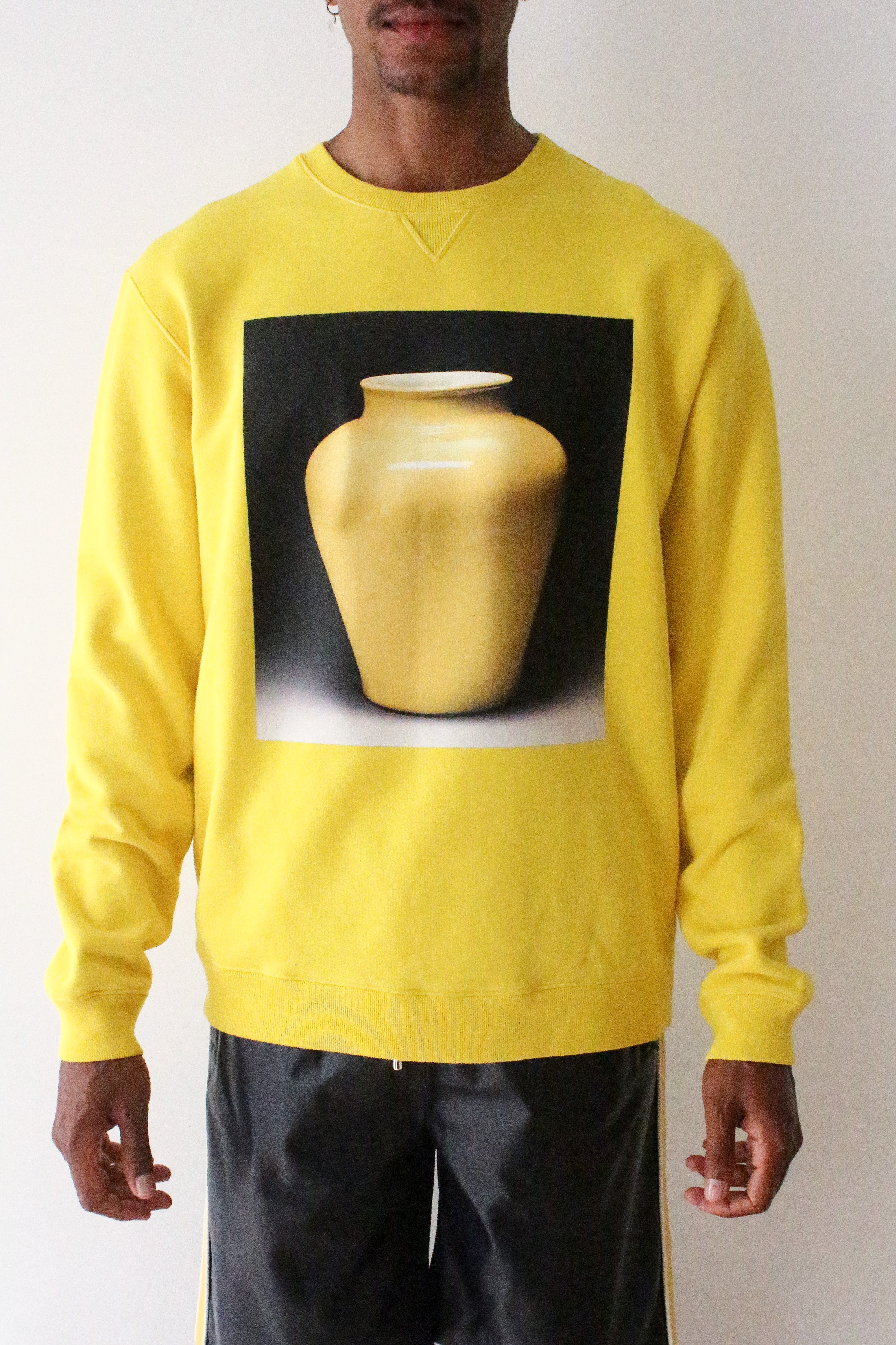 Loewe sweatshirt