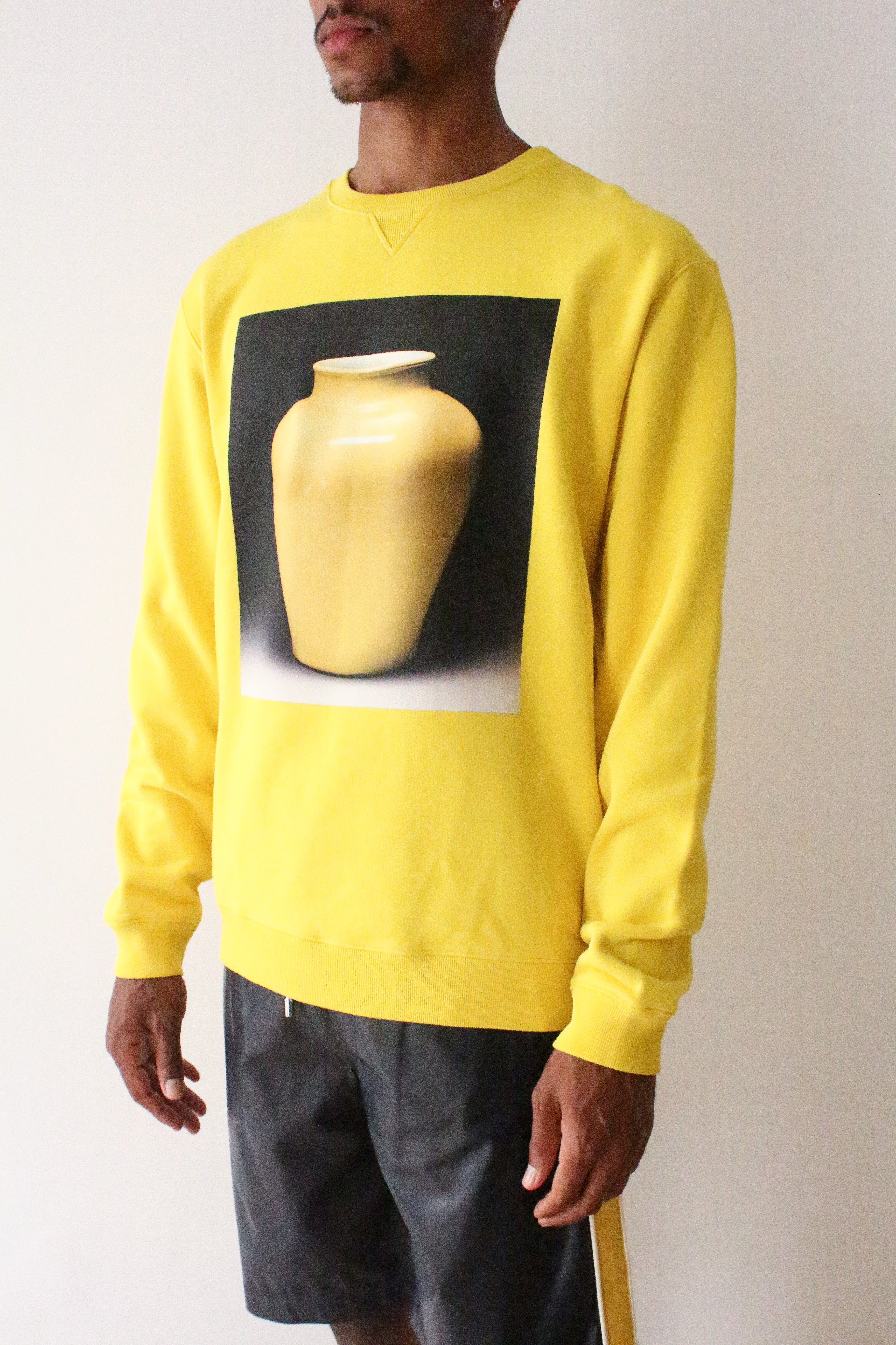 Loewe sweatshirt